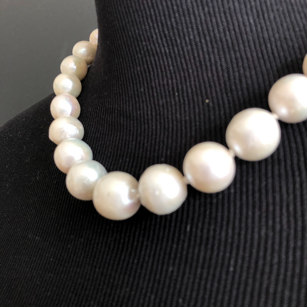 Bold Pearls